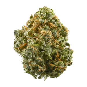 Zaza weed strain