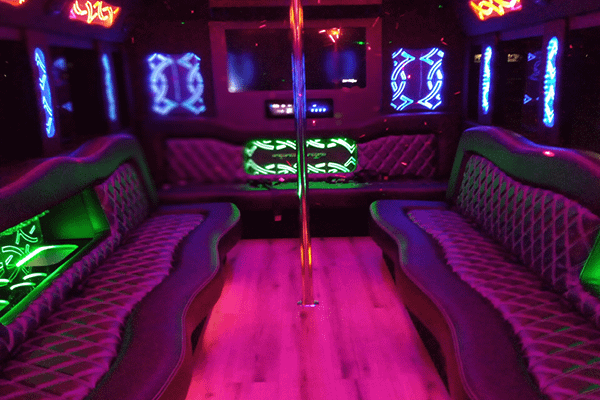 30 Passenger Party Bus, Professional Chauffeur Service